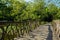 Timber bridge over grassy rivulet in sunny summer afternoon