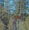 Timber Camp Recreational Site Sign. Camping and Picnicking allowed. Globe, Tonto National Forest, Arizona USA