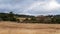 Timber Cattle Yards On A Dairy Farm