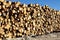 Timber cutting. Stack of spruce logs