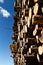 Timber cutting. Stack of spruce logs