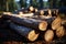 Timber elegance Freshly cut logs highlight natures resourceful splendor
