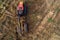 Timber harvester tractor with red cabin in a field with tree stumps. Aerial view. Forest cutting equipment. Building and firewood