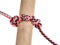 Timber hitch knot tied on synthetic rope cut out