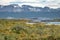 Timber house in Island and mountains view in Beagle Channel - Ushuaia, Tierra del Fuego, Argentina