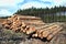 Timber industry