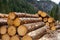 Timber logging in Austrian Alps