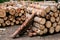 Timber logs prepared for transport, forest management