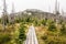 Timber pathway with Lusen hill in Bavarian Forest