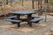 Timber Picnic Table In A Bushland Setting