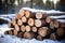 Timber in snow Woodpile of sawn pine tree trunks outdoors