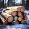 Timber in snow Woodpile of sawn pine tree trunks outdoors