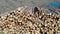 Timber stacks aerial at Bonny Glen in County Donegal - Ireland