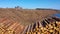 Timber stacks aerial at Bonny Glen in County Donegal - Ireland