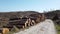 Timber stacks at Bonny Glen in County Donegal - Ireland