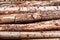 Timber stacks at Bonny Glen in County Donegal - Ireland