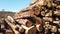 Timber stacks at Bonny Glen in County Donegal - Ireland