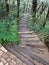 Timber staircase along the pathway