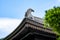 Timber structure Japanese style Tang style architectural temple of Tsz Shan Temple in Hong Kong