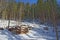 Timber structures for loading logs at slope in winter forest