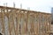 Timber support for timber beam formwork
