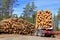 Timber Trailer and Stack of Logs