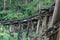 Timber trestle railway bridge in the Dandenong Ranges