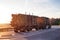A timber truck carries logs along the road against the backdrop of a sunny sunset. Wood Export and Import Concept