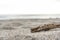 Timber wood on the beach sand near the sea, selective focus on timber wood, Sea and Relax concept