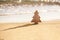 Timber wooden Christmas tree on a sand on the tropical beach near ocean, summer Christmas and winter holyday concept