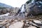 Timberline Falls waterfall along the Sky Pond Trail in Rocky Mountain National Park Colorado