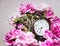 time clock flowers pink watch