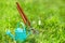 time for garden nowÃ¢â‚¬Â¦. decorative small gardening tools and snowdrops on grass