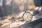 Time goes by: vintage watch outdoors; wood, leaves and sunshine