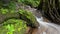 Time laps long exposure of small waterfall in beautiful rainforest at Phuket Thailand Beautiful nature landscape Abundant forest t