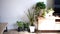 Time lapse of afternoon shadows moving across a wooden TV cabinet and plant corner