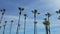 Time lapse of airplanes taking off above palm trees