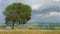 Time lapse of beautiful field, green tree near wind farm, clouds, weather change