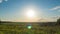 time lapse with camera movement, hyperlapse sunset in a field in summer, beautiful summer landscape