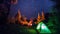 Time lapse of camping and bonfire under stars - night skies time lapse