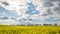 Time lapse canola field. Rapeseed field in bright sunshine and moving clouds, timelapse