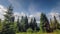 Time Lapse Clouds sweep over shoreline tall pines