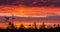 Time lapse of colorful sunset over marshland treeline