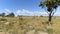 Time lapse of flat lands above Blyde river canyon