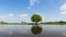 Time lapse footage video of moving clouds behind a single big oak tree