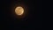 Time lapse of full moon with yellow bright color. start with dusk till night.