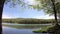 Time lapse of a green tree on the shore of a lake