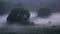 Time lapse of low hanging mist around trees over grass at night in the fields. Mysterious atmosphere in nature landscape