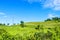 Time-lapse Nature_green grass blue sky