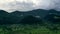 Time lapse near summer forest after the rain